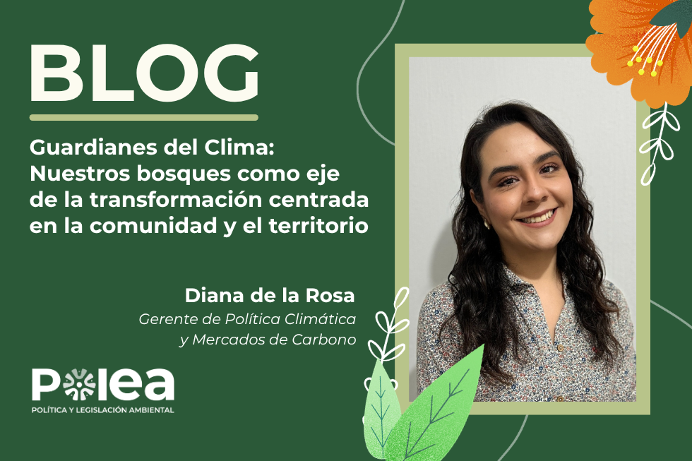 Guardianes del Clima: Nuestros bosques como eje de la transformación centrada en la comunidad y el territorio